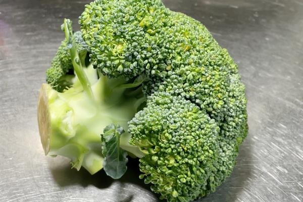 哪些植物不开花，包括滴水观音、铁线蕨、乌毛蕨等品种