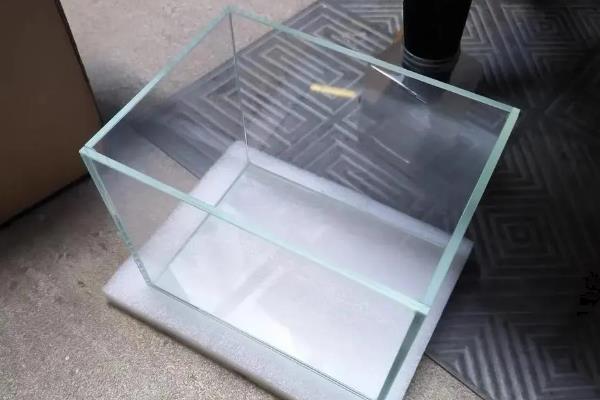 市场卖的活虾怎么养不死，投喂以植物性饲料为主