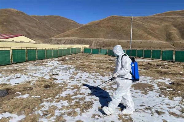 牦牛的生长周期,生长周期是4年左右