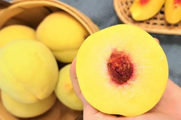 桃子的原产地,原产地在中国