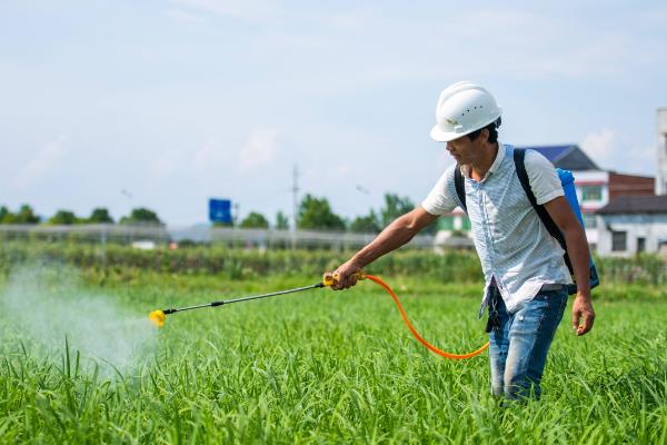 烟草病毒病的农药防治办法，可选用菌克毒克、金叶宝等药剂