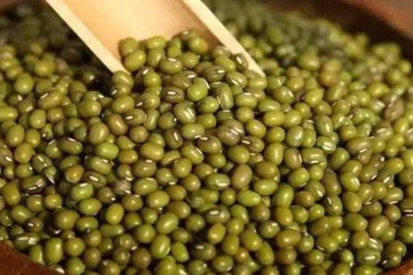 绿豆如何储存才能防虫,可化学熏蒸也可沸水浸泡等