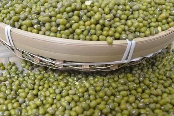 绿豆如何储存才能防虫,可化学熏蒸也可沸水浸泡等