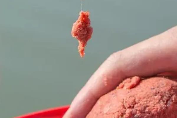 钓罗非鱼用什么饵料，可选择鱼粉面、虾粉面等