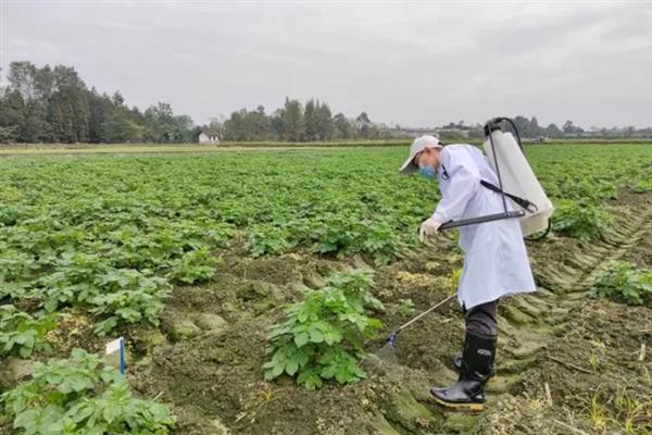 除虫脲和虱螨脲的区别，熔点和在水中的溶解度均不同