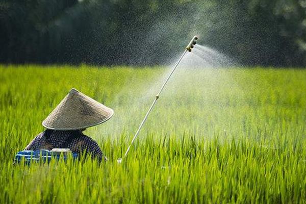 怎么提高雨季用农药效果，可以选用内吸性农药