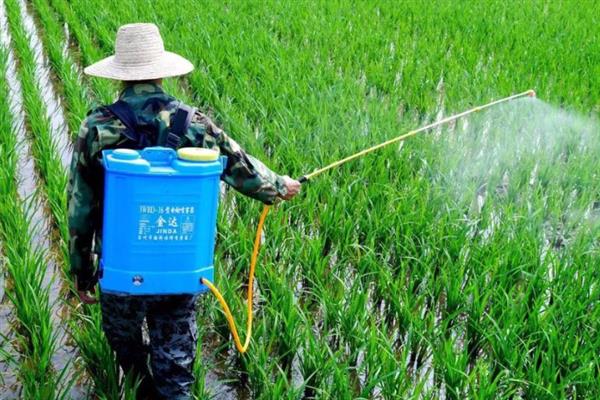 怎么提高雨季用农药效果，可以选用内吸性农药