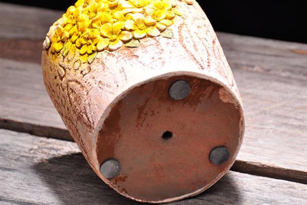 怎么土培铜钱草,土壤厚度只需在5厘米左右即可