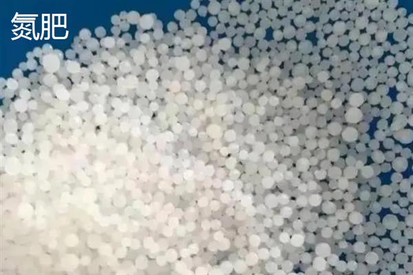有哪些生根肥料，常见的有氮肥、磷肥等