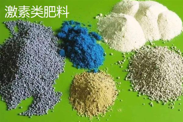 有哪些生根肥料，常见的有氮肥、磷肥等
