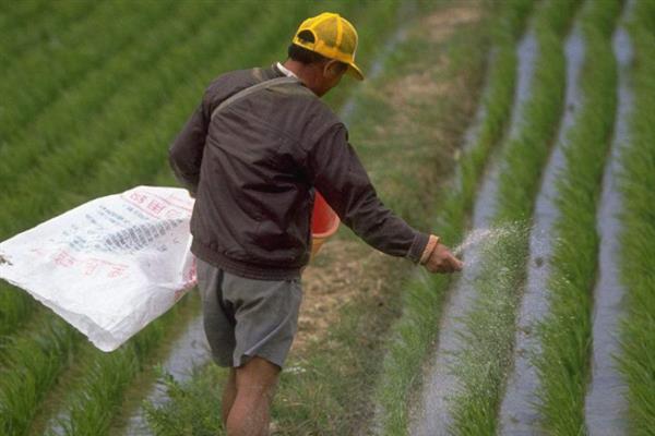 有哪些生根肥料，常见的有氮肥、磷肥等
