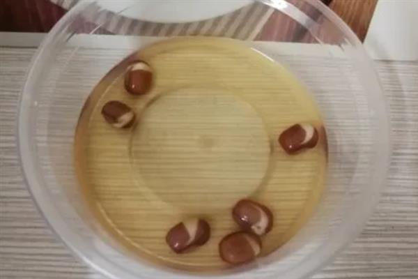 四棱豆种后多久可以开花，种后半年开花