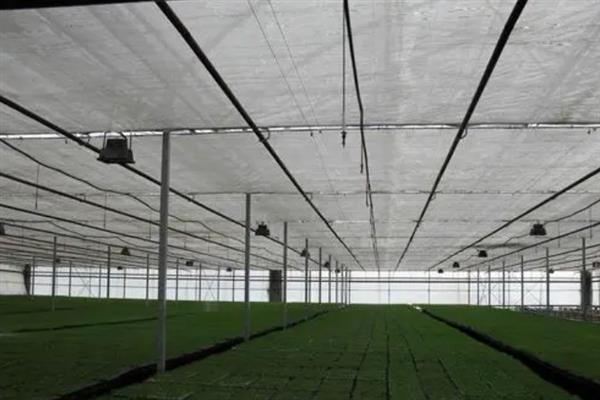 育苗遮阳网的特点，具有抗紫外线的作用