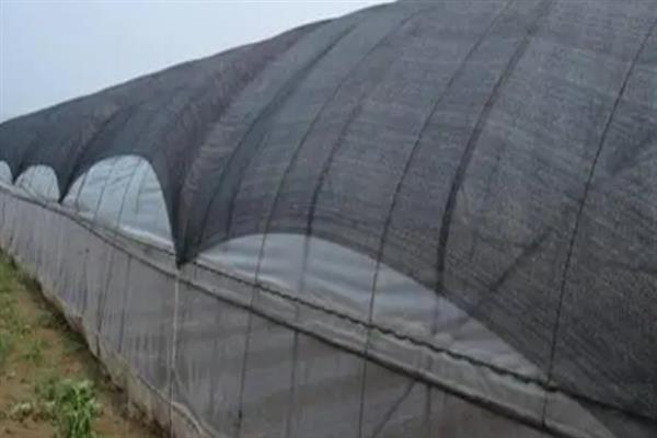 育苗遮阳网的特点，具有抗紫外线的作用