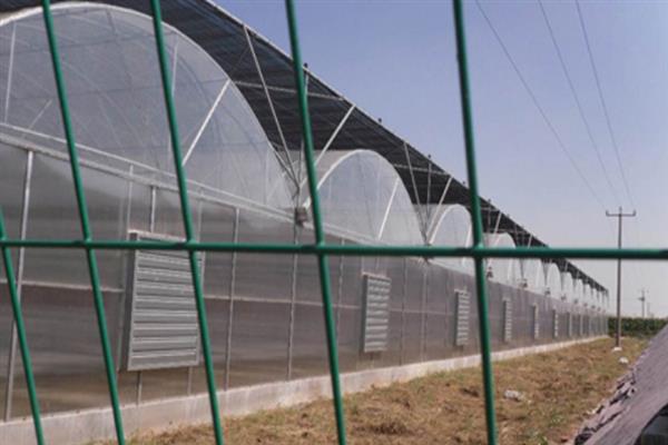 育苗遮阳网的特点，具有抗紫外线的作用