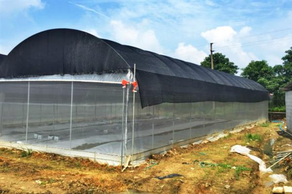 育苗遮阳网的特点，具有抗紫外线的作用