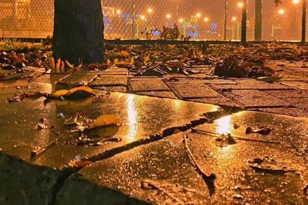不怕重阳十天雨只怕立冬一天晴的含义，是指重阳节可以连续下雨、但立冬不下雨不是好征兆