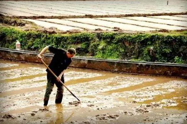 不怕重阳十天雨只怕立冬一天晴的含义，是指重阳节可以连续下雨、但立冬不下雨不是好征兆