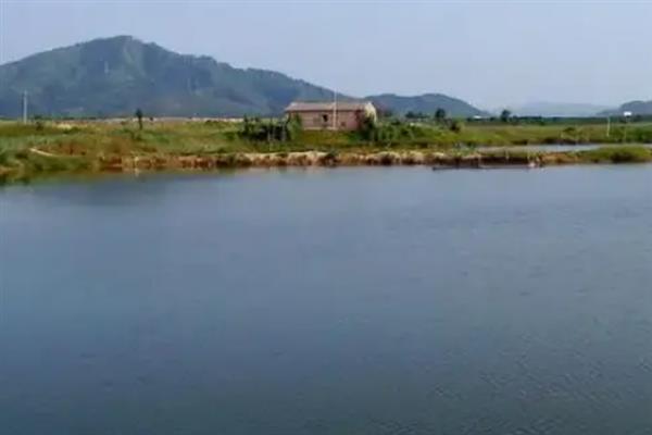 不怕重阳十天雨只怕立冬一天晴的含义，是指重阳节可以连续下雨、但立冬不下雨不是好征兆