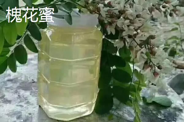 槐花蜜和枣花蜜对比，前者口感和色泽都要更好