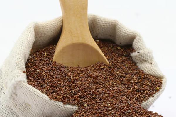 藜蒿怎么种植，将种子与细土拌匀再播种