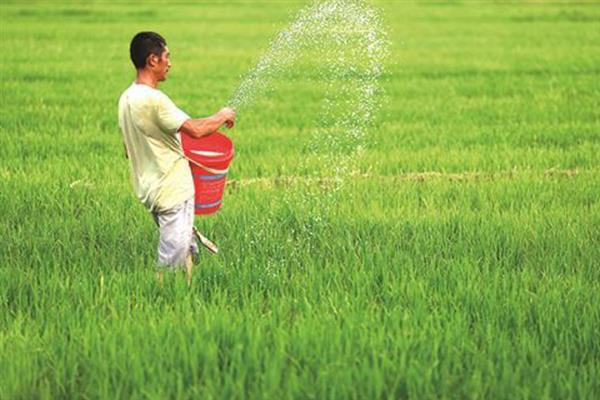 怎么提高氮肥的有效利用率，可采取以下7种措施