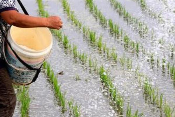 怎么提高氮肥的有效利用率，可采取以下7种措施