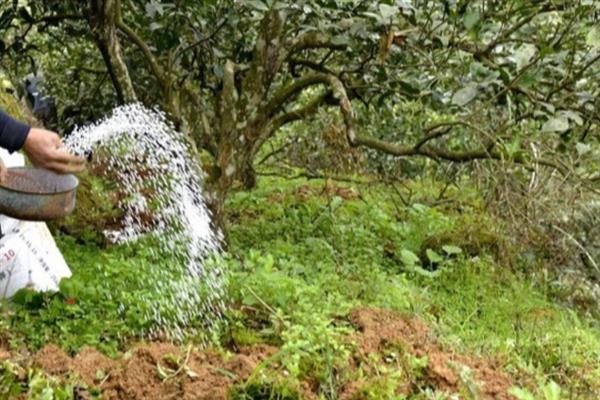 怎么提高氮肥的有效利用率，可采取以下7种措施