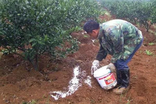 怎么提高氮肥的有效利用率，可采取以下7种措施