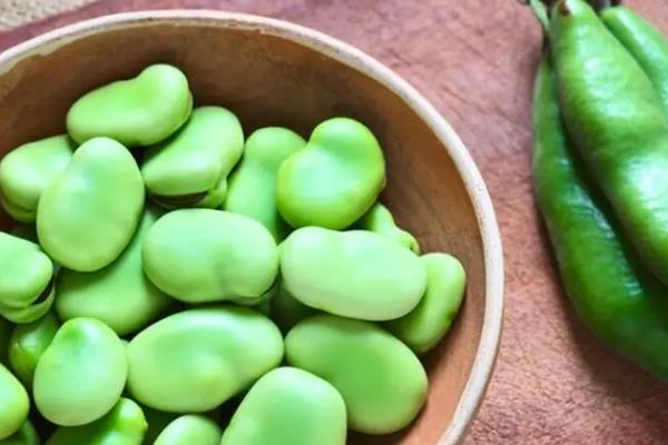 冬天种植的农作物，可以种植大麦、蚕豆等