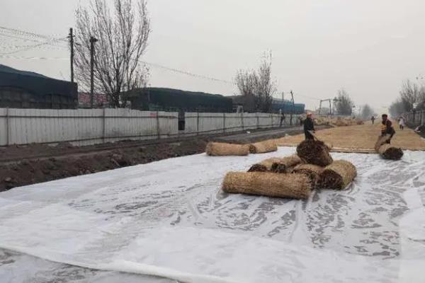 冬天种植的农作物，可以种植大麦、蚕豆等