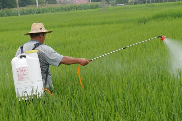 除草剂有什么危害，进入人体会引起中毒或其它疾病