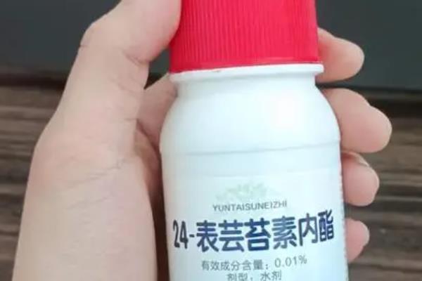 除草剂有什么危害，进入人体会引起中毒或其它疾病