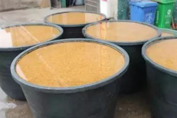 水稻的种植技术与管理方法