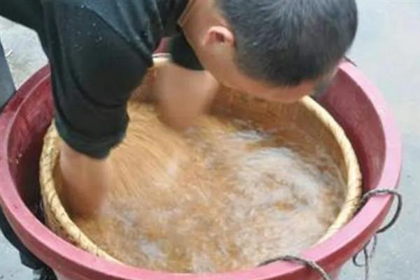 水稻的种植技术与管理方法