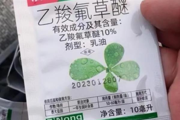 玉米地能不能使用乙羧氟草醚，在正常的用量下对玉米没有危害