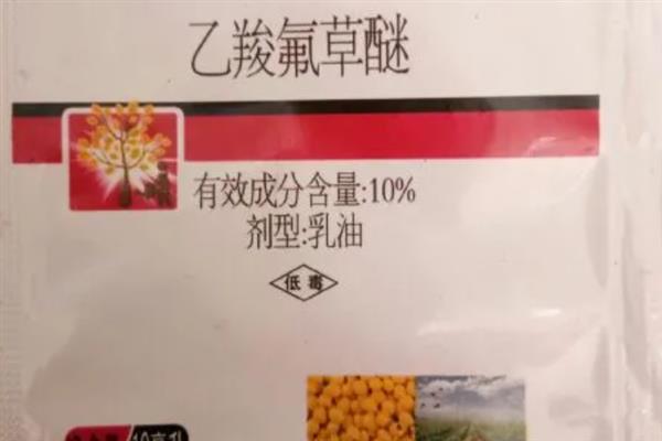 玉米地能不能使用乙羧氟草醚，在正常的用量下对玉米没有危害