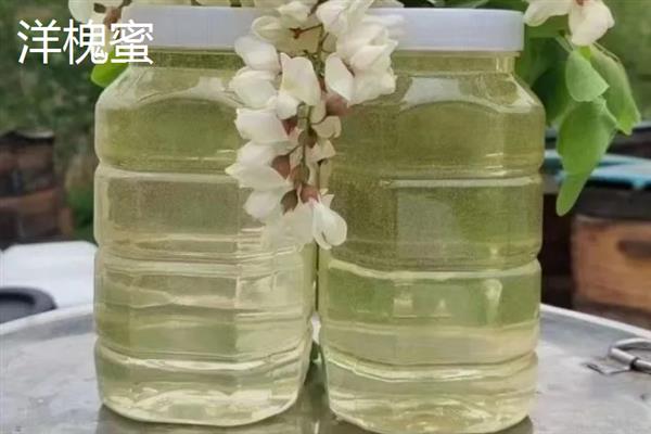 洋槐蜜和百花蜜的价格，前者一斤要50-70元、后者的价格取决于酿蜜蜂种