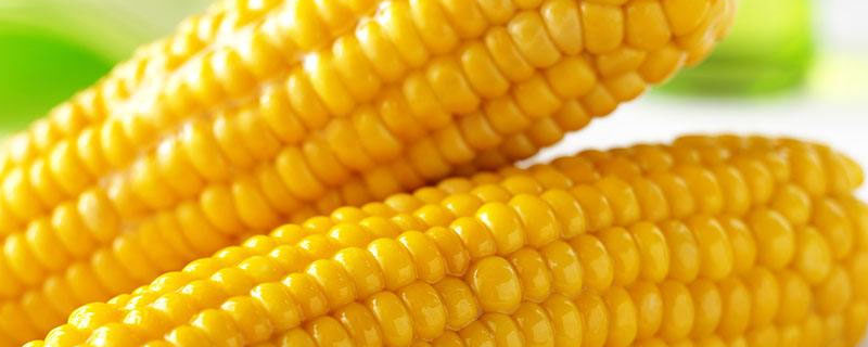 得艺5号玉米种子特点，平均生育期131天