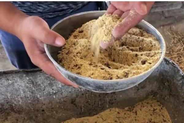 草鱼每天喂多少料，饲喂量与水温以及生长阶段有关