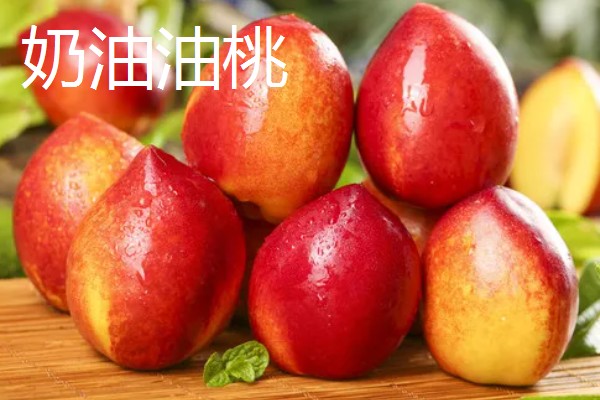 油桃是怎么培育的，可以使用嫁接的方法进行