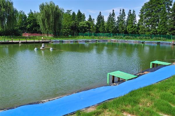 鱼塘怎么快速降低氨氮，可以选择换水