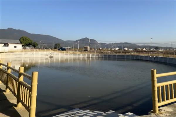 鱼塘怎么快速降低氨氮，可以选择换水