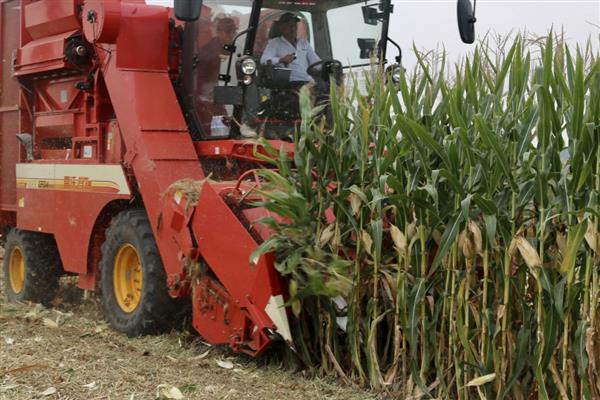 玉米收割机的寿命,寿命大概在5-6年左右