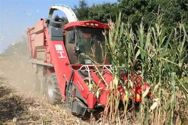 玉米收割机的寿命,寿命大概在5-6年左右