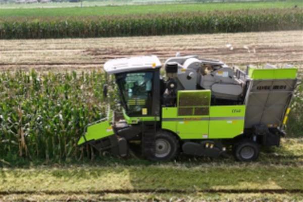 玉米收割机的寿命,寿命大概在5-6年左右