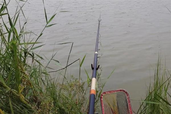 蚯蚓为什么钓不到大鱼,可能是不打窝引起的