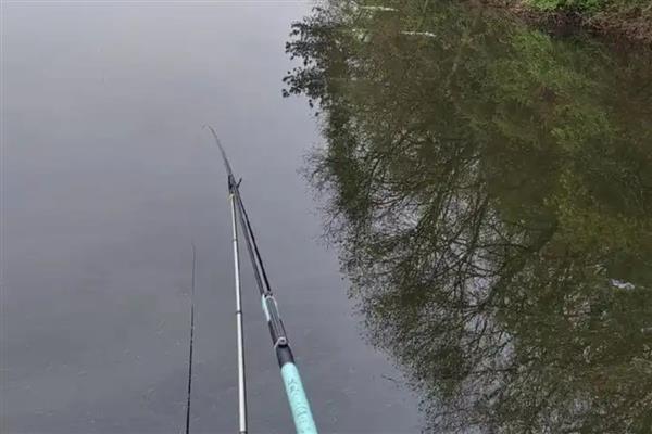 蚯蚓为什么钓不到大鱼,可能是不打窝引起的