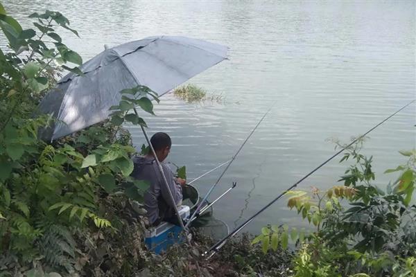 蚯蚓为什么钓不到大鱼,可能是不打窝引起的