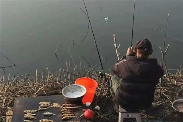 钓鱼空军的意思，指的是空手而归